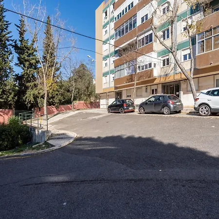 Akicity Benfica Ethnic Лиссабон